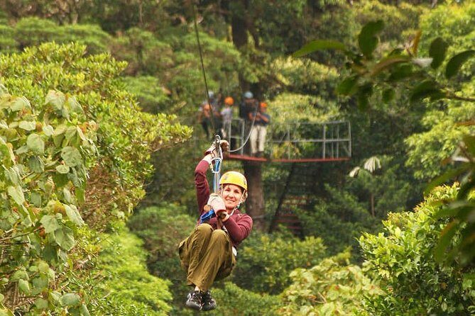 Half-Day ATV Zipline and Swimming Adventure in Riviera Maya - Who Will Love This Tour?