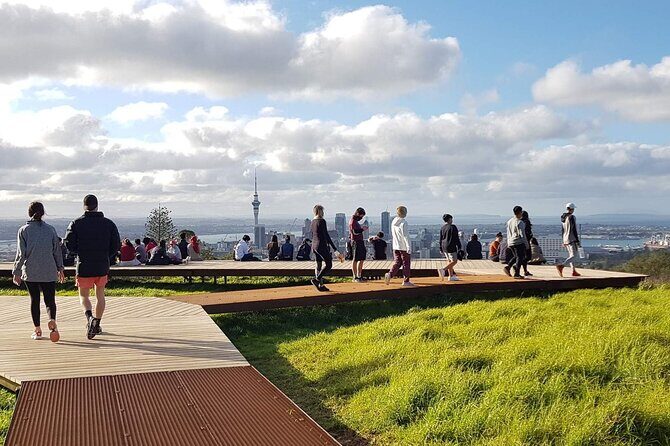 Half-Day Auckland City Sightseeing Small Group Tour - Key Points