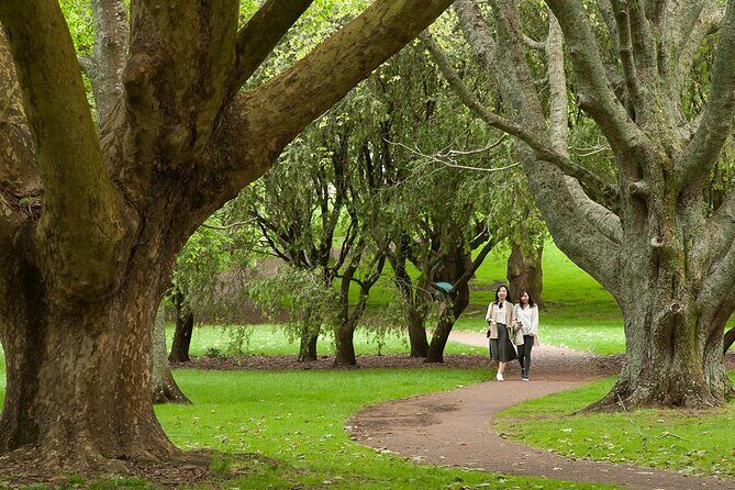 Half-Day Auckland City Sightseeing Small Group Tour - What to Expect from the Itinerary