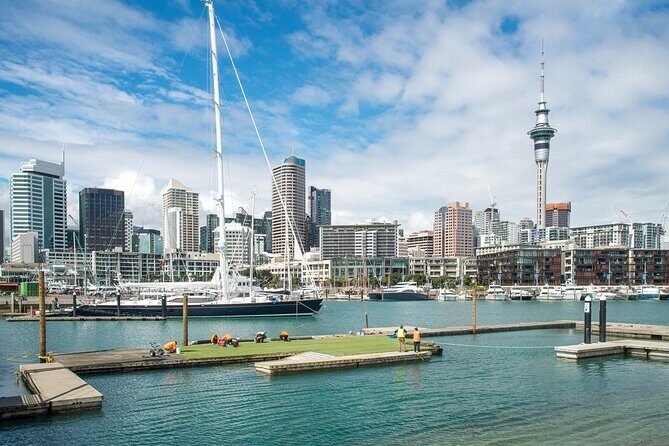 Half Day Auckland City Sightseeing Tour with Expert Guide - The Practical Side: Transport, Timing, and Value