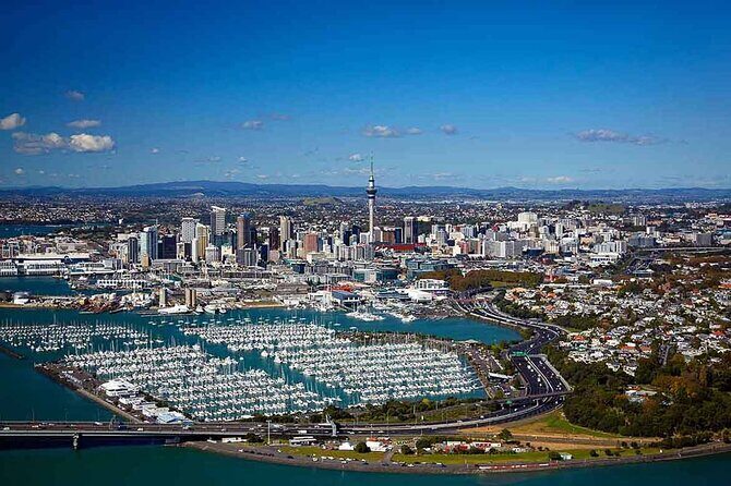 Half-Day Auckland City Tour The City of Sails Uncovered - Key Points