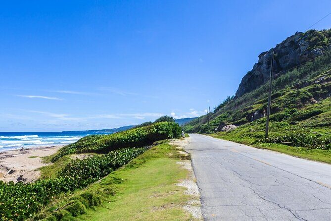 Half-Day Barbados Caves and Critters Tour with Pick Up - A Closer Look at the Tour Experience