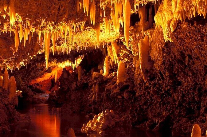 Half-Day Barbados Caves and Critters Tour with Pick Up - FAQ