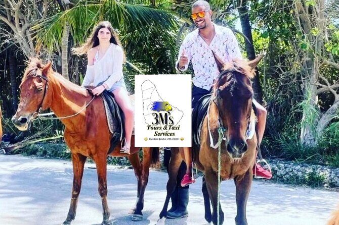 Half-Day Barbados Private Guided Customized Island Tours - Off-the-Beaten-Path Gems: Welchman Hall Gully and Flower Forest