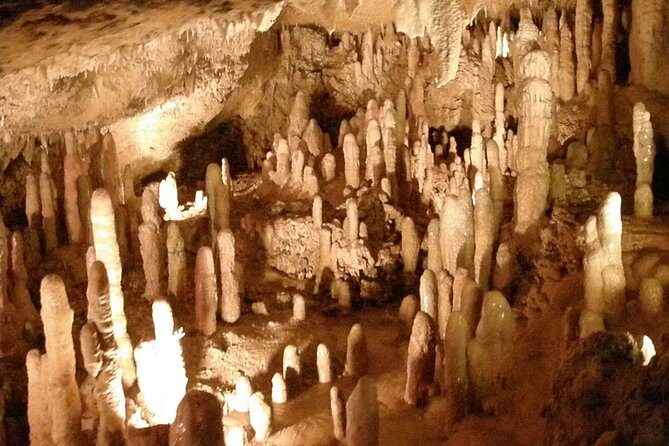 Half-Day Barbados Tour Harrisons Cave Hunte's Garden and Bathsheba - Exploring Barbados Natural Wonders: Harrison’s Cave, Hunte’s Garden & Bathsheba Beach