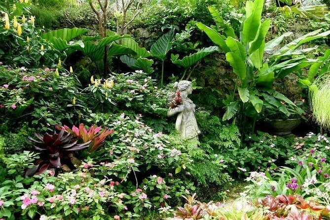 Half-Day Barbados Tour Harrisons Cave Hunte's Garden and Bathsheba - Key Points