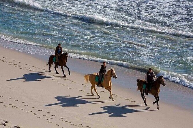Half-Day Beach Horse Back Riding in Puerto Plata - The Practical Details