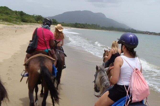 Half-Day Beach Horse Back Riding in Puerto Plata - Who Will Love This Tour?
