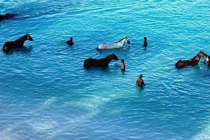 Half-Day Beach Horse Back Riding in Puerto Plata - The Sum Up
