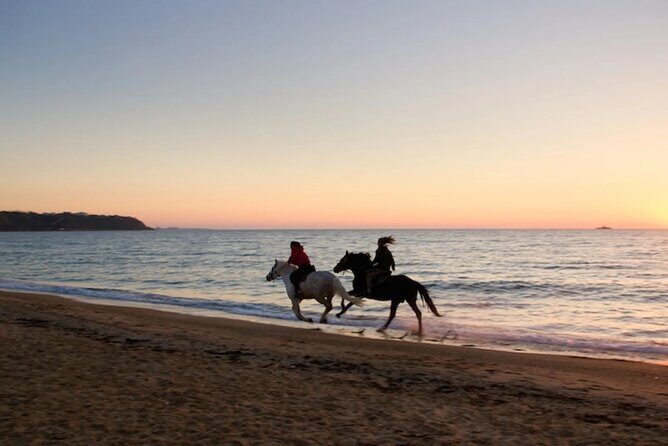 Half-Day Beach Horse Back Riding in Puerto Plata - FAQ