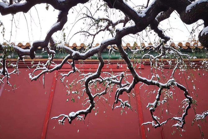 Half Day Beijing Group Tour to Tiananmen Square and Forbidden City - The Itinerary Breakdown