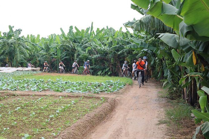 Half-Day Bicycle Tour Combine City & Countryside + Train Street - Introducing the Hanoi Bicycle Tour: An Inviting Blend of City and Countryside