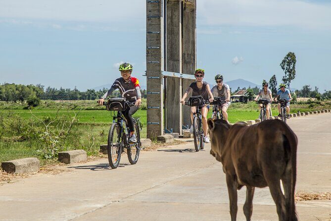 Half-Day Bike Tour in the Hoi An Countryside - Introduction
