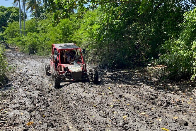 Half-Day Buggy Guided Adventure for Amber Cove and Taino Bay - Authenticity and Cultural Touches