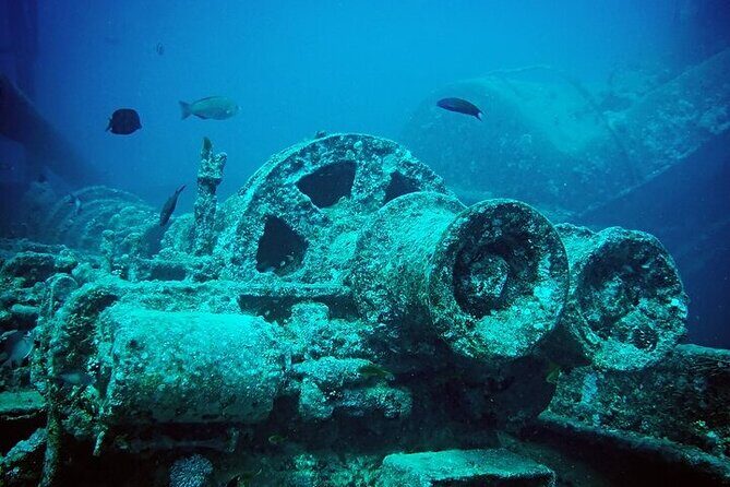 Half Day Bus Tour of Ras Mohammed National Park From Sharm Hotels - The Sum Up