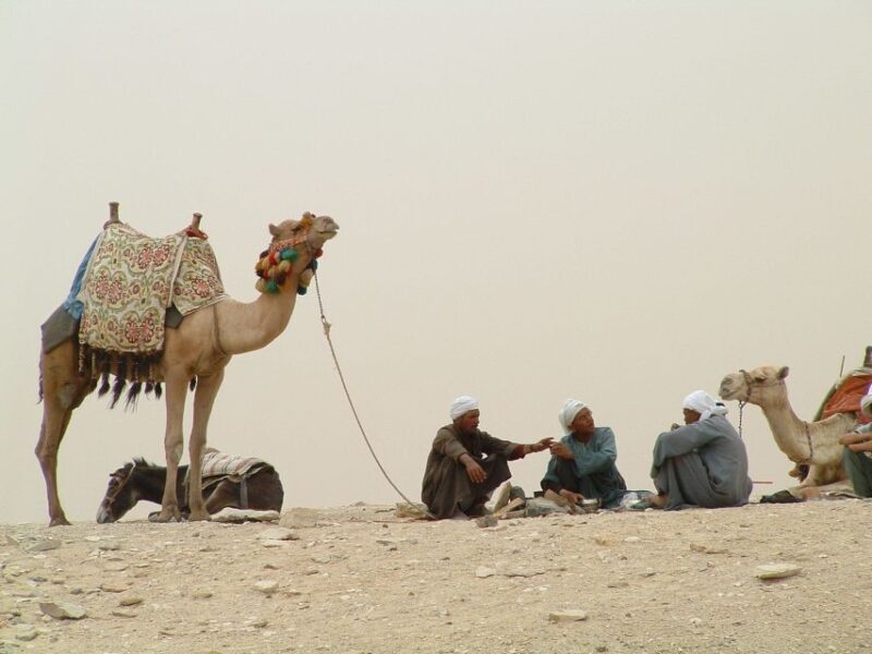 Half-Day Cairo Sightseeing Tour to Pyramids of Giza & Sphinx - Key Points