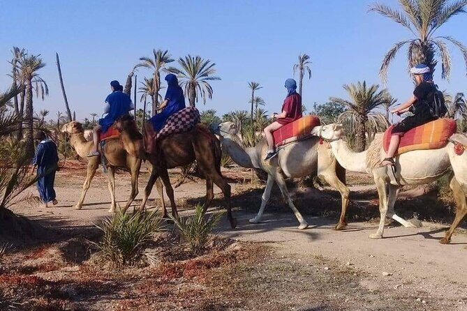 Half Day Camel Ride Palm Grove - The Guides and Scenery