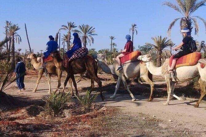 Half Day Camel Ride Palm Grove - Authentic Experiences and Customer Praise