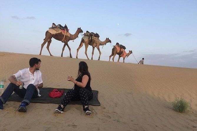 Half Day Camel Safari Sunset with Dinner Tour (Non Touristic) - Key Points
