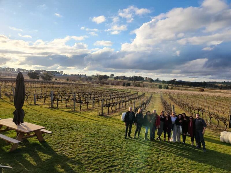 Half-Day Canberra Winery Tour to Murrumbateman - The Itinerary Breakdown: What to Expect