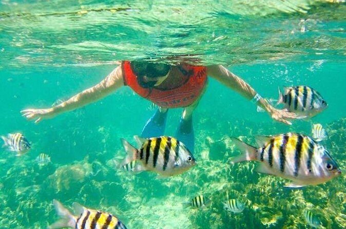 Half Day Catamaran & Snorkeling - Practical Considerations