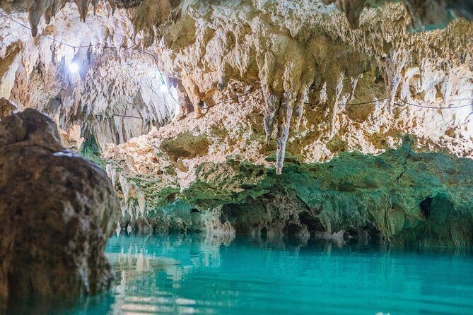 Half Day Cenotes Experience - A Detailed Look at the Cenotes Tour