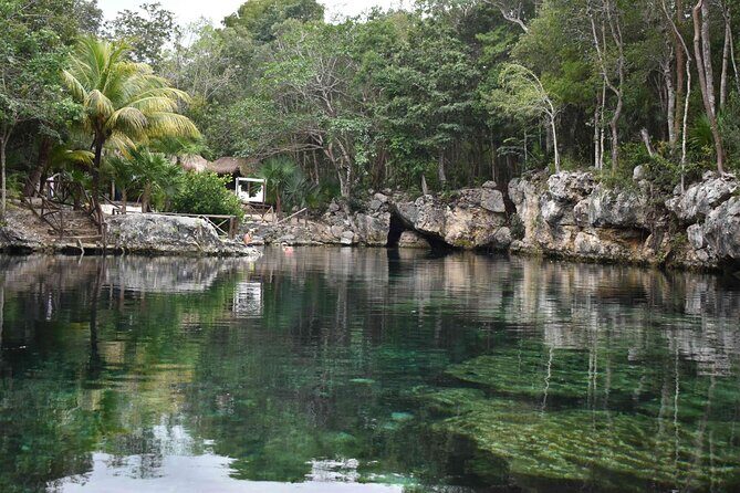 Half Day Cenotes Tour - Key Points