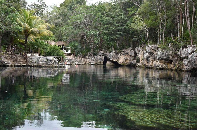 Half Day Cenotes Tour - The Bottom Line: Who Should Consider This Tour?