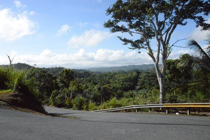 Half-Day Center of Puerto Rico Cultural Tour - Key Points