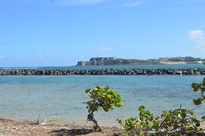 Half-Day Center of Puerto Rico Cultural Tour - Analyzing Value: Is It Worth the Price?