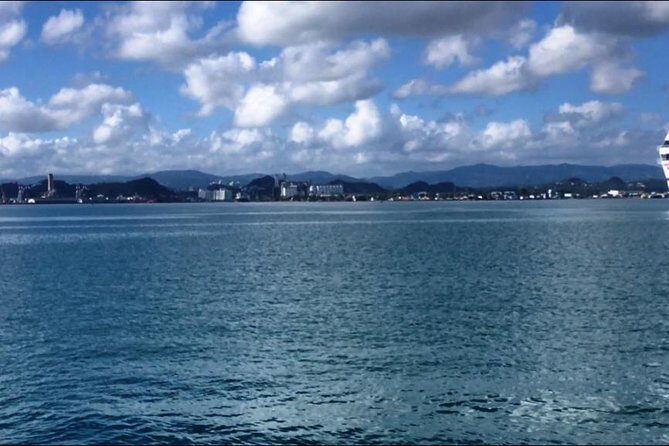 Half-Day Center of Puerto Rico Cultural Tour - Who Should Consider This Tour?