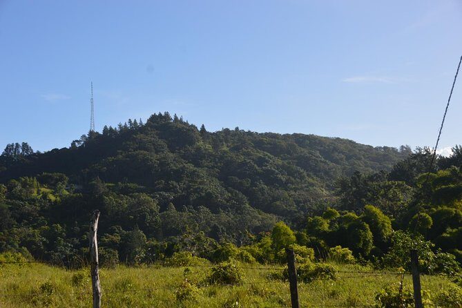 Half-Day Center of Puerto Rico Cultural Tour - Final Thoughts