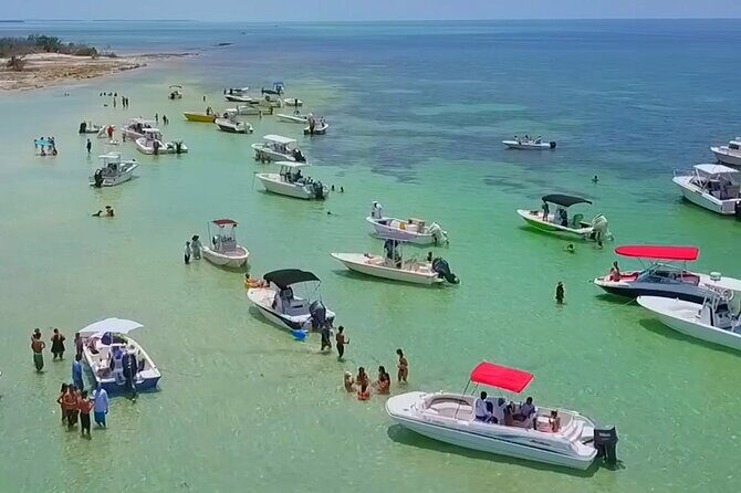 Half Day Charter Sandbar Snorkeling and Eco Adventure - Introduction: An Inviting Adventure on the Waters of Key West