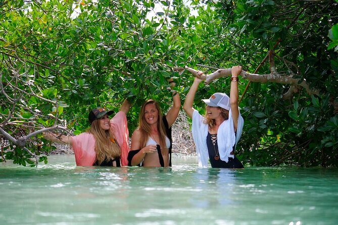 Half Day Charter Sandbar Snorkeling and Eco Adventure - An In-Depth Look at the Experience