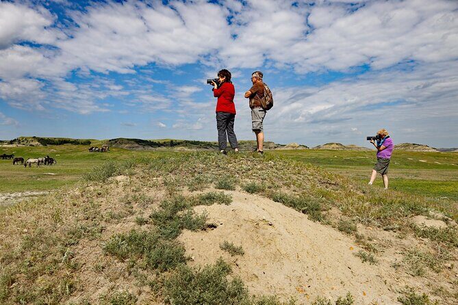 Half Day Chasing Horses Wildlife Photography Experience in North Dakota - An Authentic North Dakota Wildlife Adventure