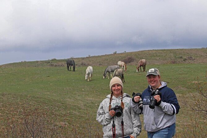 Half Day Chasing Horses Wildlife Photography Experience in North Dakota - Who Should Consider This Tour?