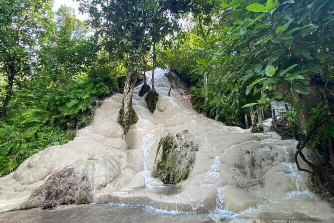Half Day Chiang Mai Sticky Waterfall and Hotel Transfer - Key Points