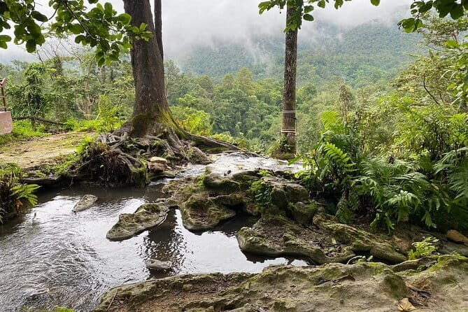Half Day Chiang Mai Sticky Waterfall and Hotel Transfer - What to Expect from the Experience