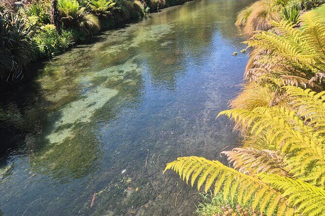 Half Day Christchurch Scenic Tour with Local Guide - Key Points