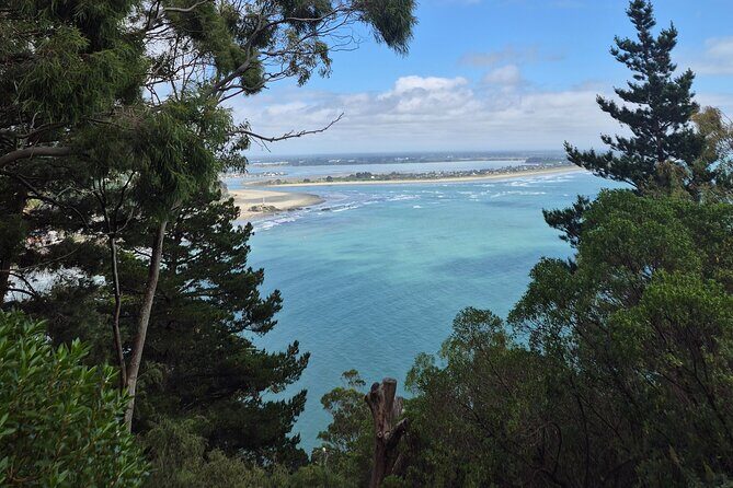 Half Day Christchurch Scenic Tour with Local Guide - Who Will Love This Tour?