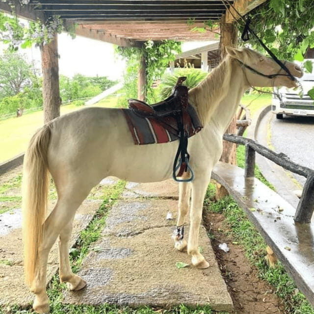 Half-Day City Tour | Puerto Princesa - Key Points