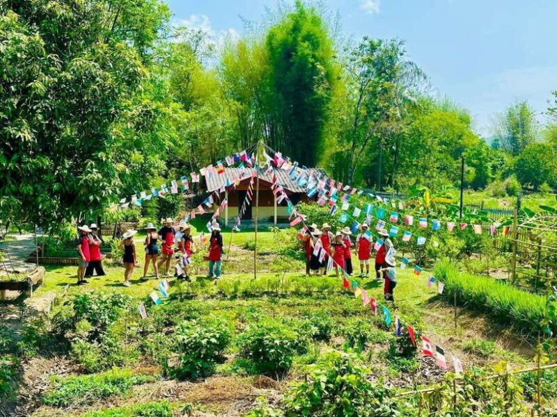 Half Day Cooking Class at Organic Farm & City Garden&Market - Key Points