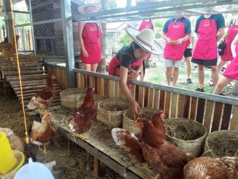 Half Day Cooking Class at Organic Farm & City Garden&Market - A Closer Look at the Experience