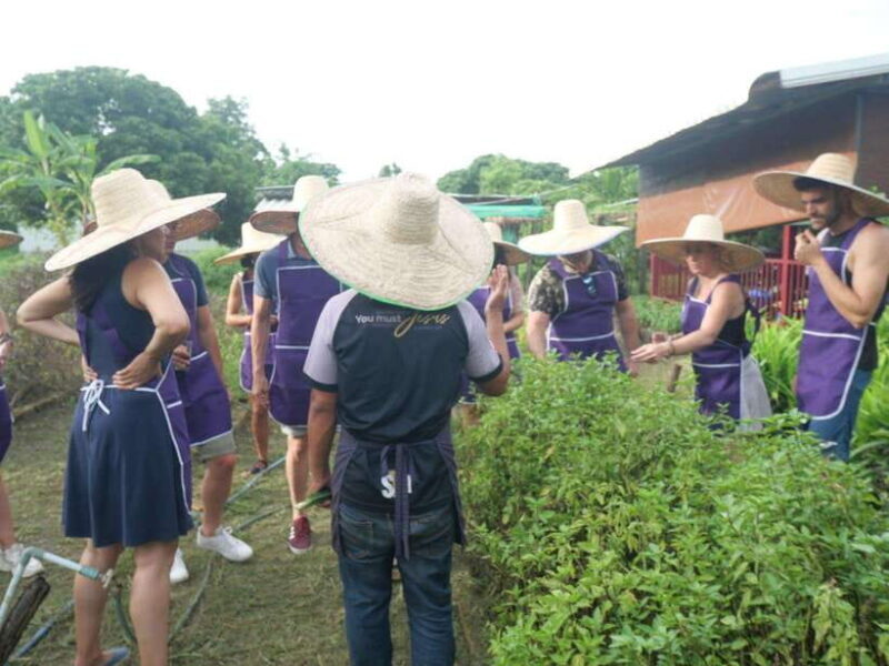 Half Day Cooking Class at Organic Farm & City Garden&Market - The Sum Up