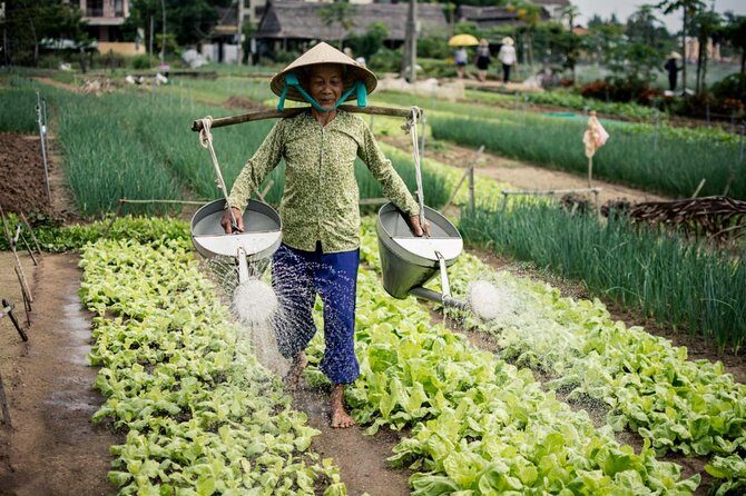 Half Day Cooking Class At Tra Que Vegetable Village Hoi An - The Sum Up