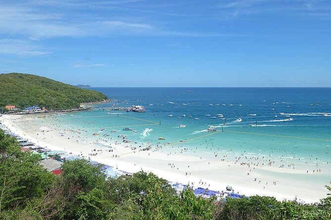 Half-day Coral Island Join Tour with Lunch from Pattaya - Pricing and Value Analysis
