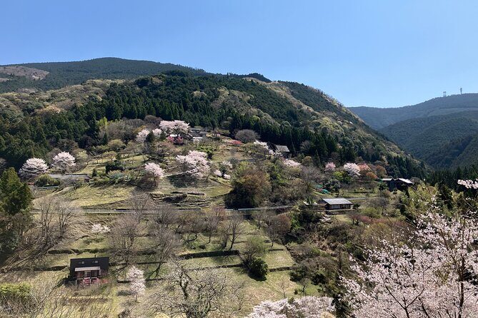 Half Day Countryside Tour in Shinshiro Japan - Introduction