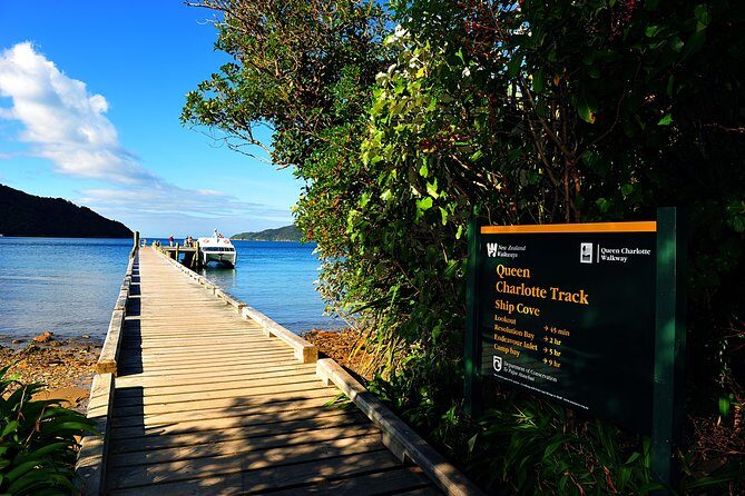 Half-Day Cruise in Marlborough Sounds from Picton - What to Expect from the Itinerary