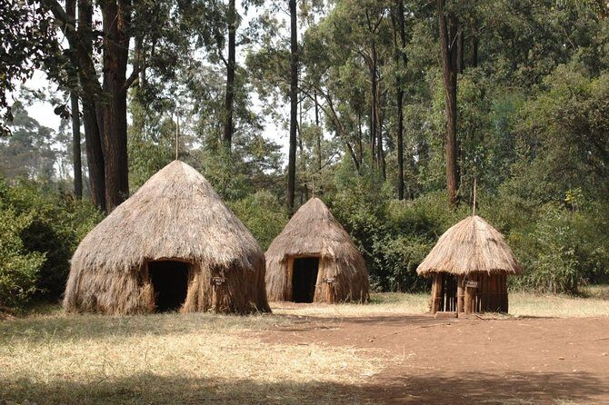 Half-Day Cultural Tour to Bomas of Kenya in Nairobi - Is It Worth the Price?