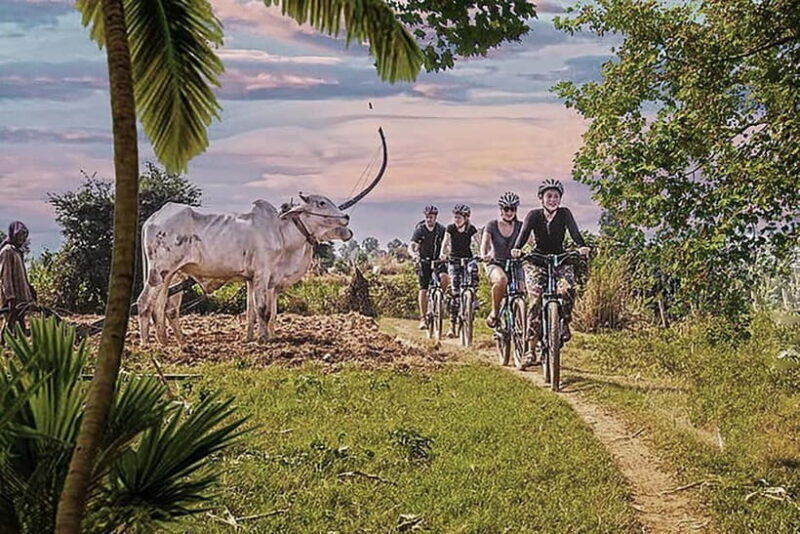 Half-Day Cycling to Discover Battambang's Rural Livelihoods - Exploring the Itinerary: What to Expect